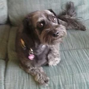 Meet your Posher, Sueann