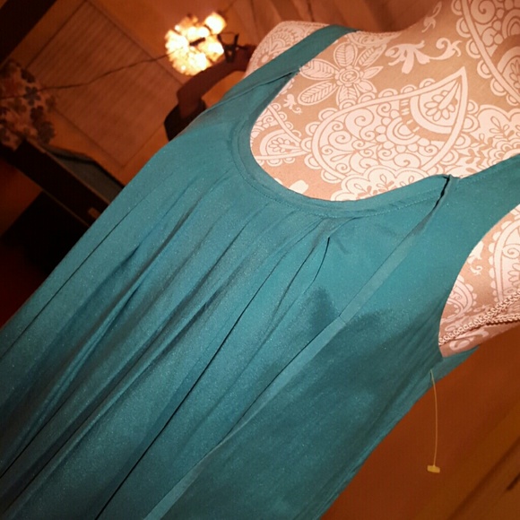 ๐ท๐ท๐ทHost Pick๐ท๐ท๐ท Express dress - Picture 3 of 4