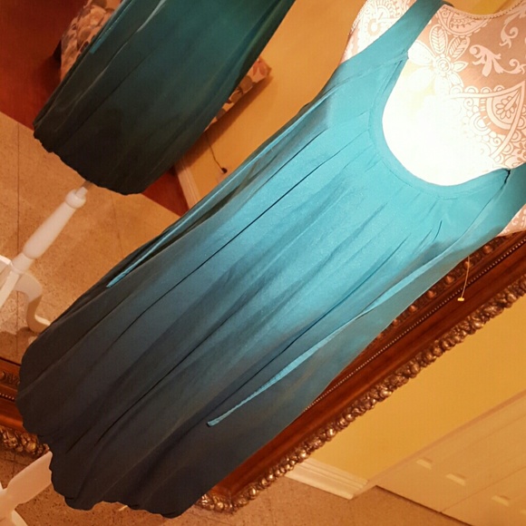 ๐ท๐ท๐ทHost Pick๐ท๐ท๐ท Express dress - Picture 4 of 4