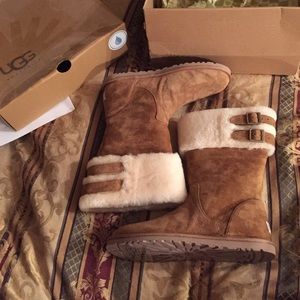 Buckle chestnut uggs NEW