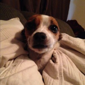 Meet your Posher, Tori