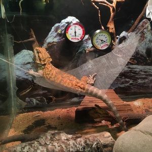 Meet your Posher, Fabiola