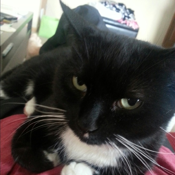 Meet your Posher, Sarah - Picture 1 of 1