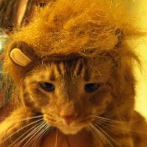 Meet your Posher, Genny