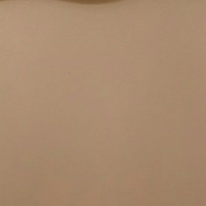 Meet your Posher, Lashonda