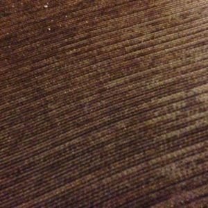 Meet your Posher, Elvia