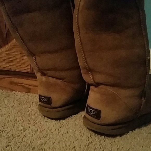 Tall chestnut ugg boots