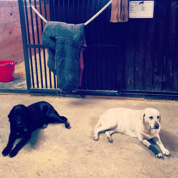 Meet your Posher, Megan - Picture 1 of 1