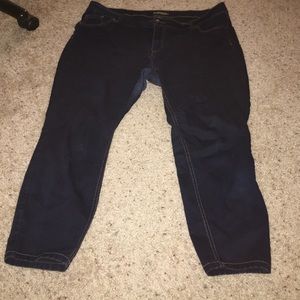d jeans size 18w
