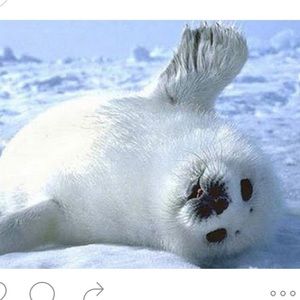 Meet your Posher, Alicia