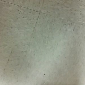 Meet your Posher, Forrest