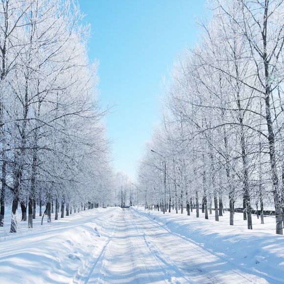 Meet your Posher, Rose