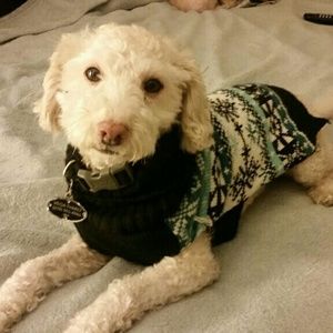 Meet your Posher, Carlos