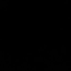 Meet your Posher, Lionel