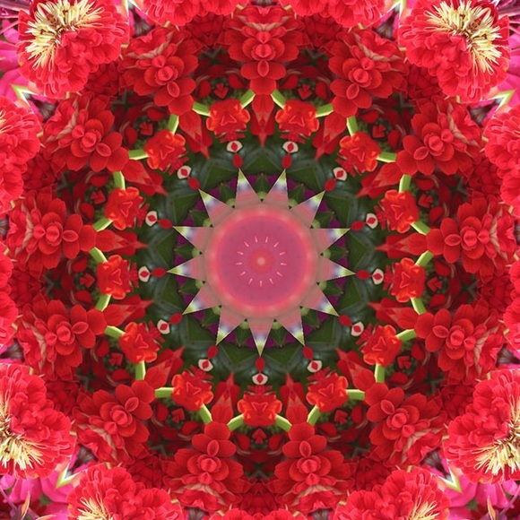 Meet your Posher, Verdie - Picture 1 of 1