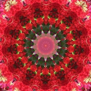 Meet your Posher, Verdie