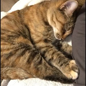 Meet your Posher, Avery