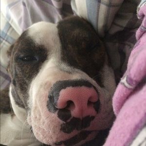 Meet your Posher, Colleen