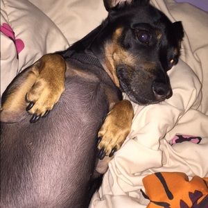 Meet your Posher, Ashley