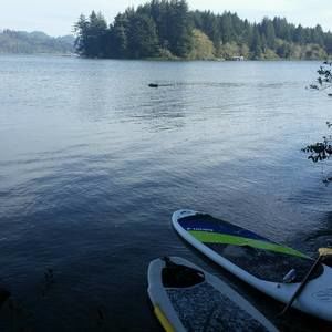 Meet your Posher, Pamela