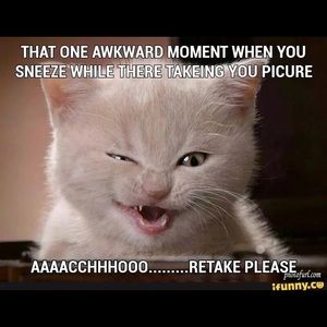 Meet your Posher, Paula