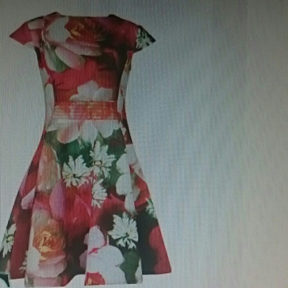 ISO Ted Baker dress size1