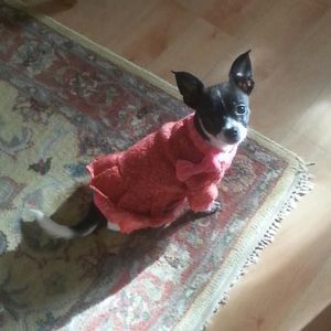 Meet your Posher, Dani