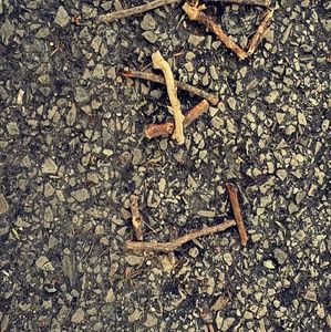 Meet your Posher, Raj