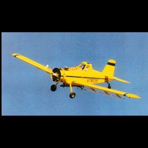 Meet your Posher, Lynette