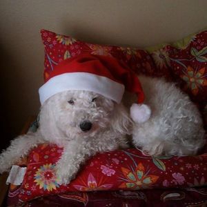 Meet your Posher, Haley