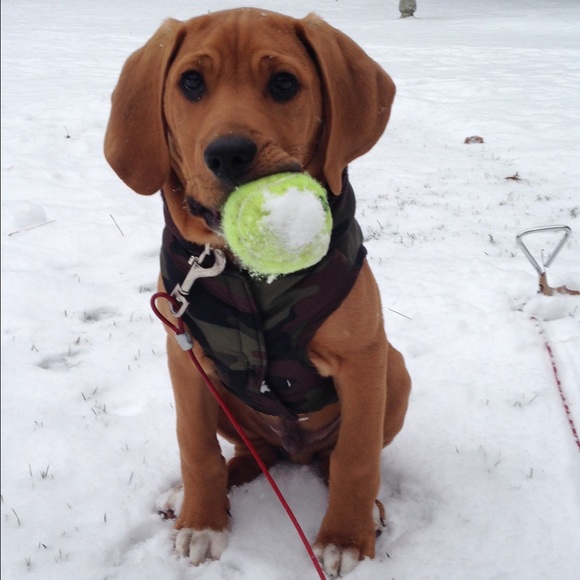 Meet your Posher, H - Picture 1 of 1