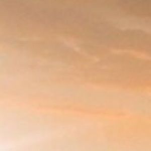 Meet your Posher, Alisha