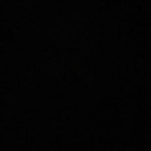 Meet your Posher, Poni