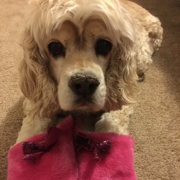 Meet your Posher, Jenn - Picture 1 of 1