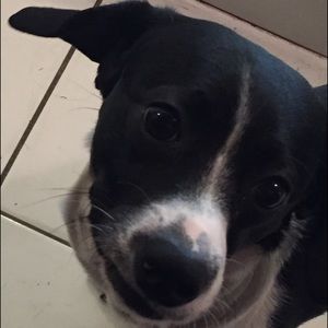 Meet your Posher, Delanie