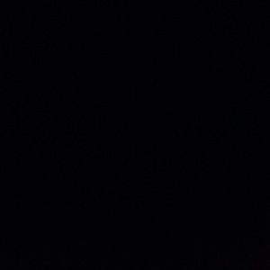 Meet your Posher, Sushs