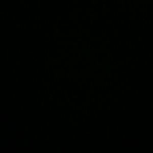 Meet your Posher, Firas