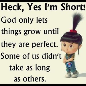 Meet your Posher, Fran