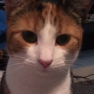 Meet your Posher, Sabrina