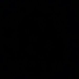 Meet your Posher, Brady