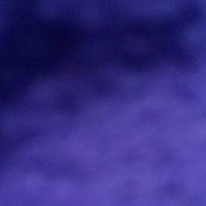 Meet your Posher, Karina