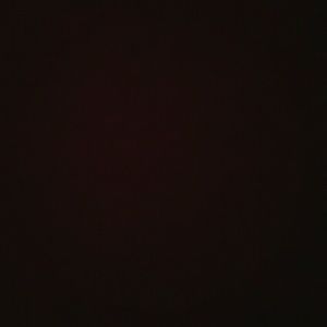 Meet your Posher, Rodney