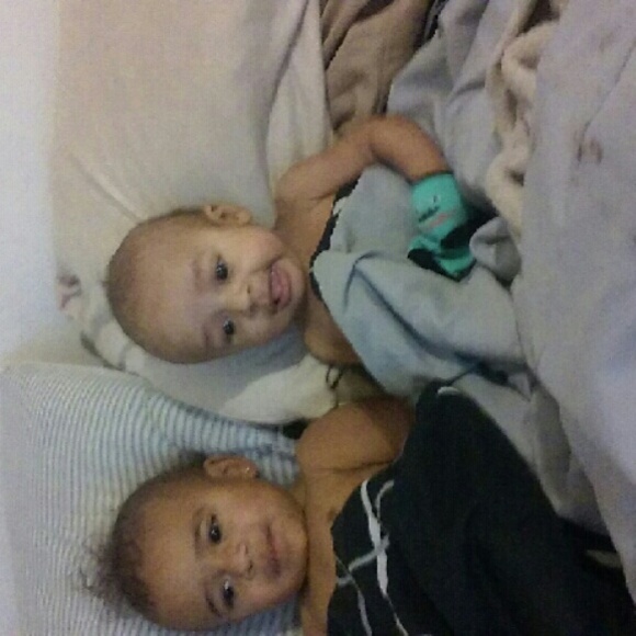 Meet your Posher, Rose - Picture 1 of 1