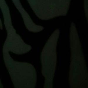 Meet your Posher, Ebony