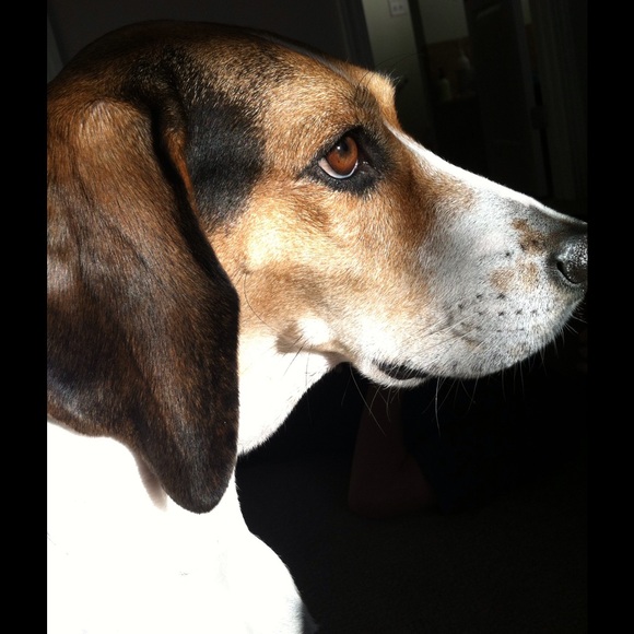 Meet your Posher, Karen