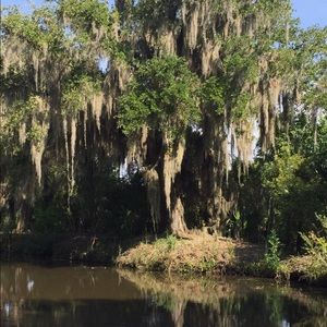 Meet your Posher, Barbara