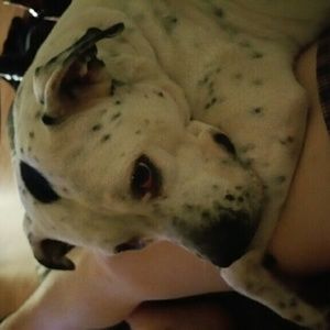 Meet your Posher, Kami