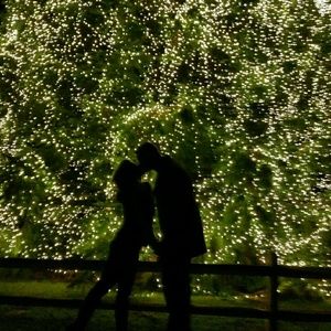 Meet your Posher, Cassandra