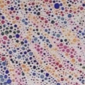 Meet your Posher, Kerry