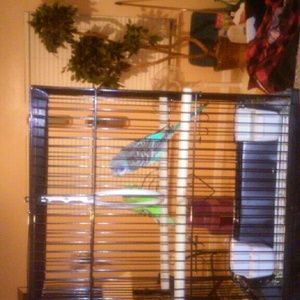 Meet your Posher, Eva